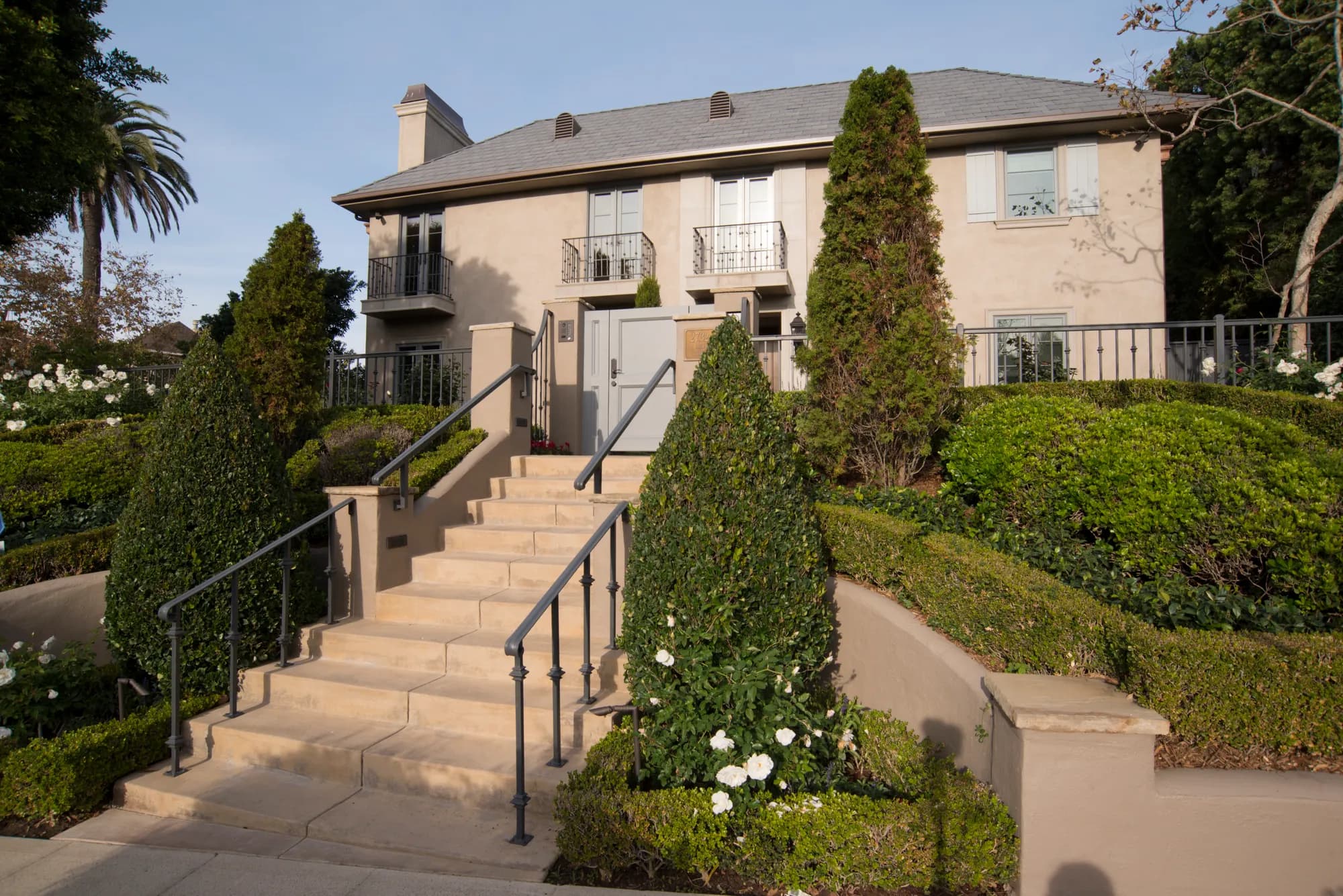 Rose — Cheviot Hills, California